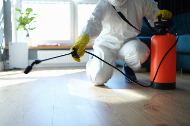 Reliable Infectious Disease Decontamination contractor in Helen, GA by Crime Scene Cleaner Online